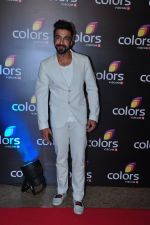 Aashish Chaudhary at Colors red carpet on 12th March 2016